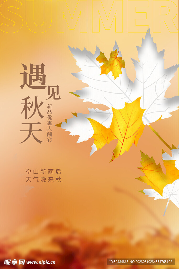 秋天枫叶海报