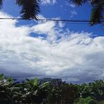 暴风雨的前夕
