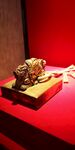 金老虎