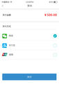 支付页面