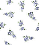 花满枝