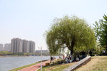 河边