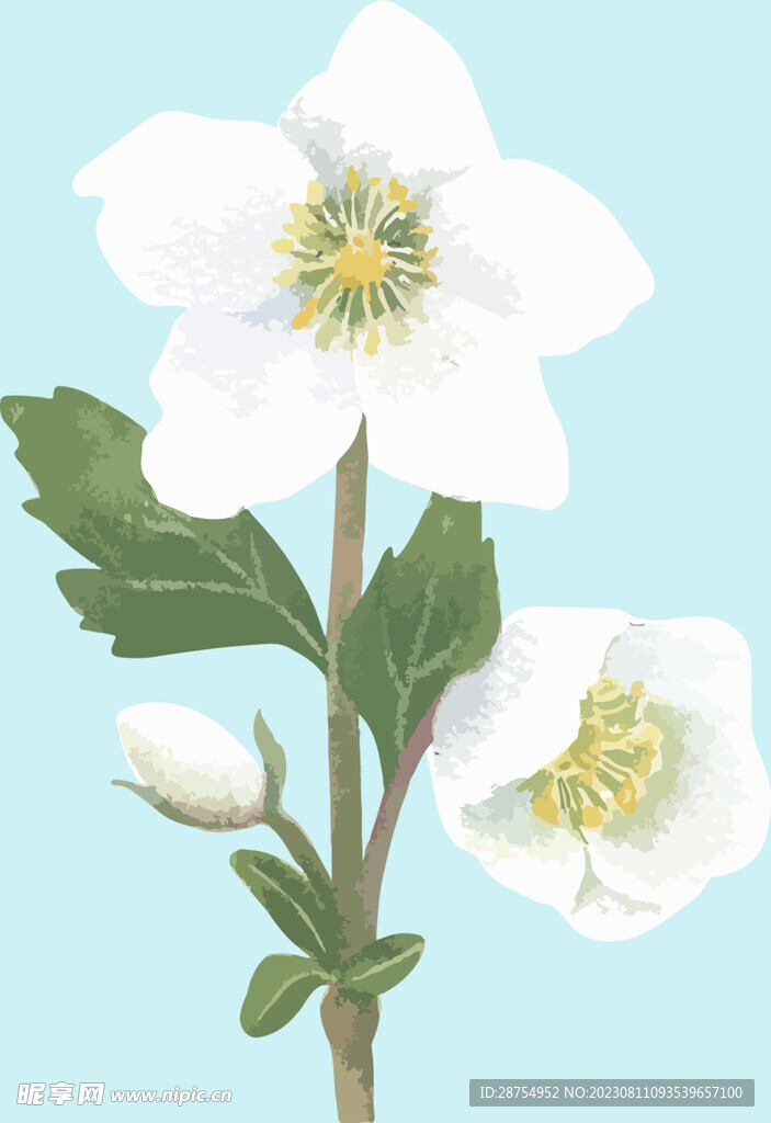花