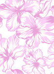 手绘花