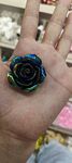蓝色玫瑰花