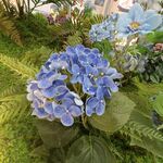 假花 