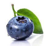 蓝莓