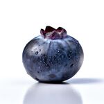 蓝莓