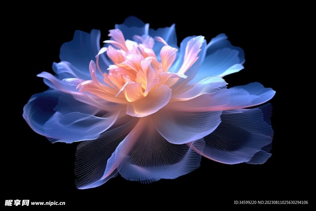 花朵框画 