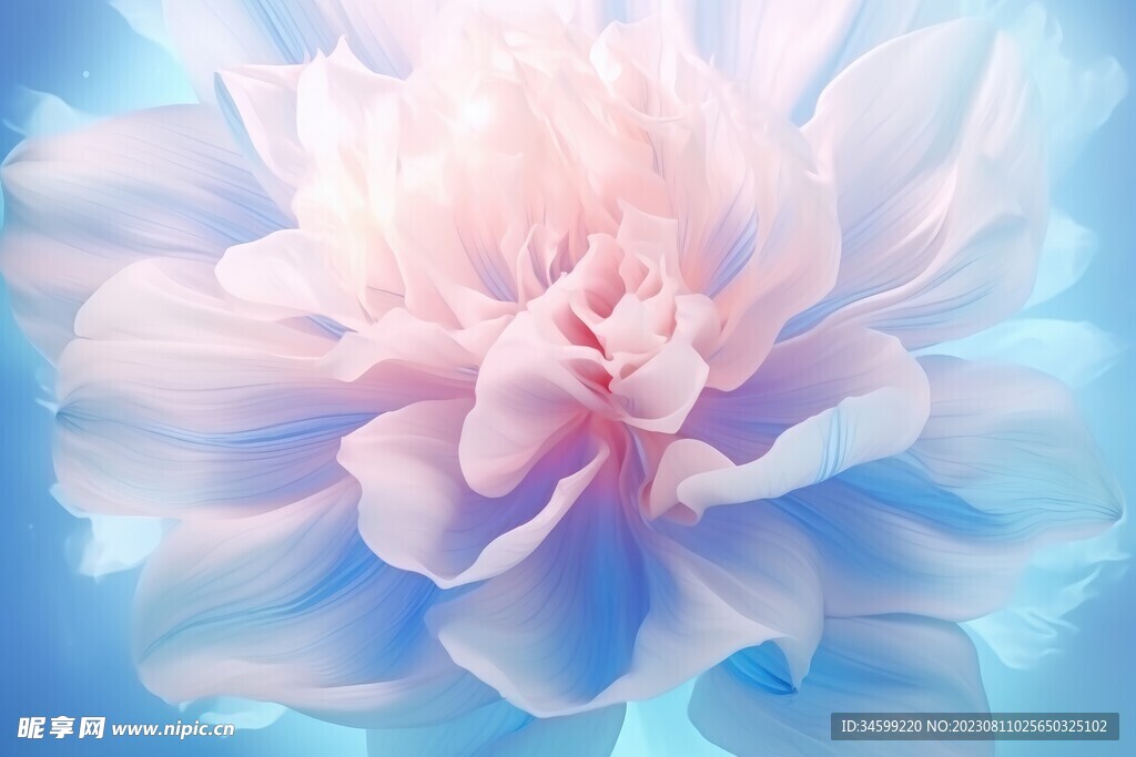 花朵框画 