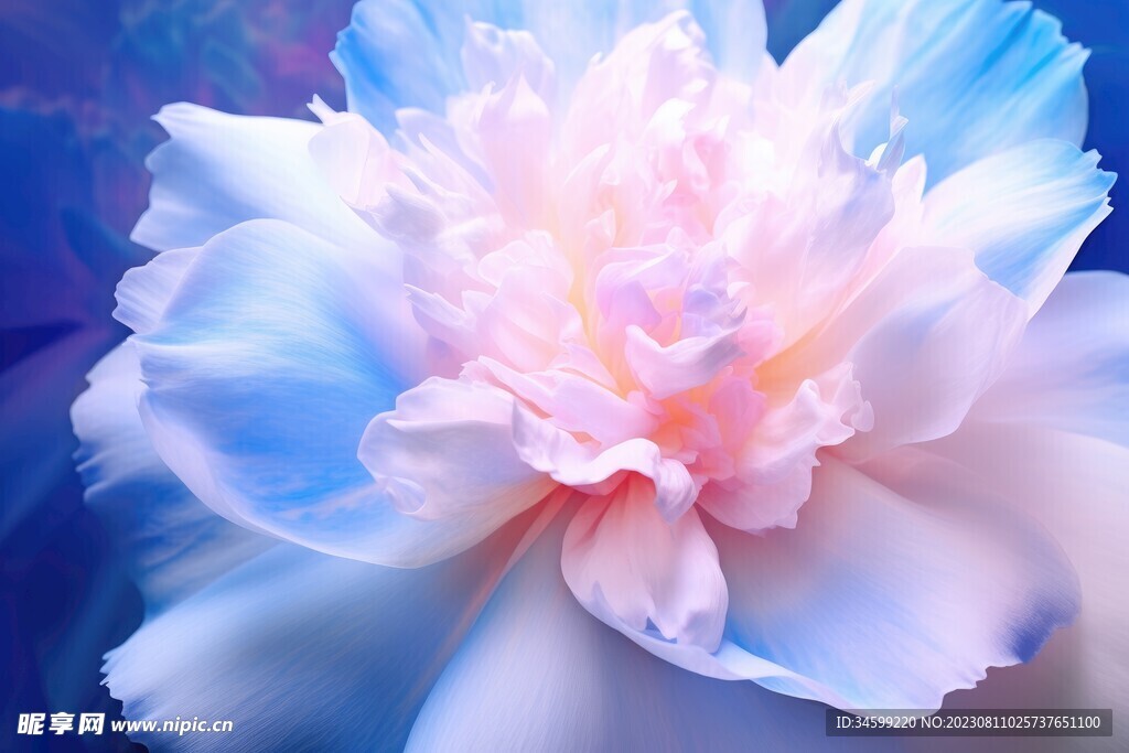 花朵框画 