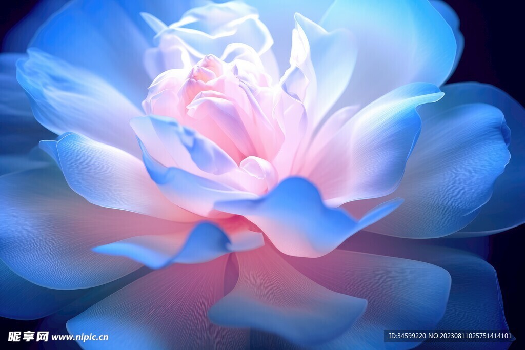 花朵框画 