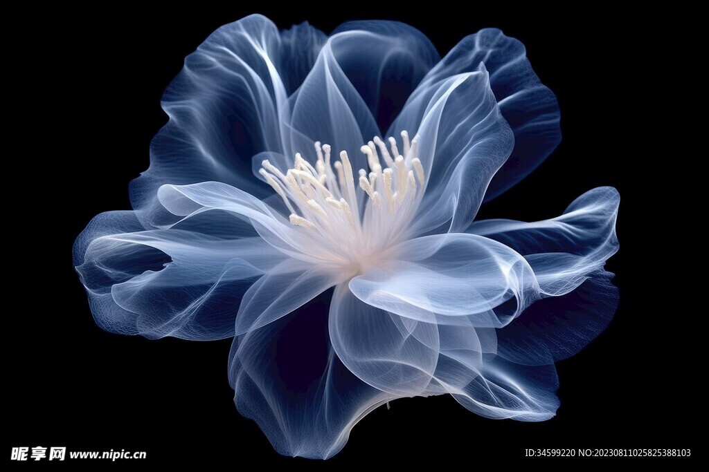 花朵框画 