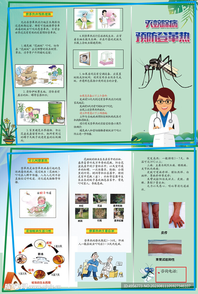 灭蚊除病预防登革热三折页