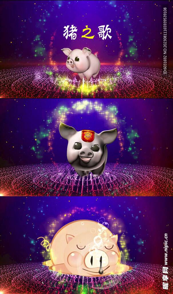 猪之歌视频背景