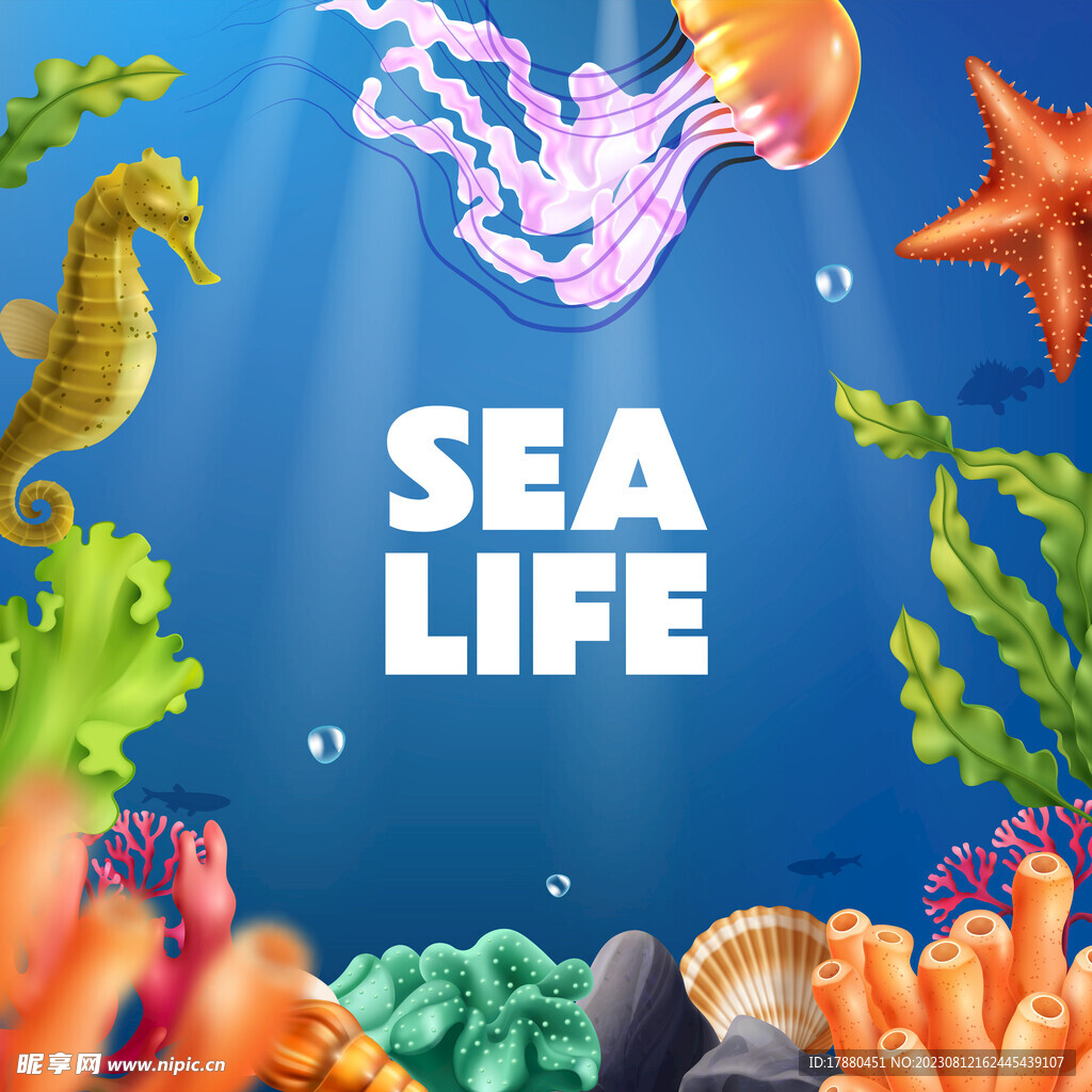 海洋生物插图