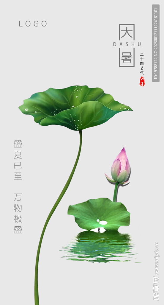 节气大暑海报