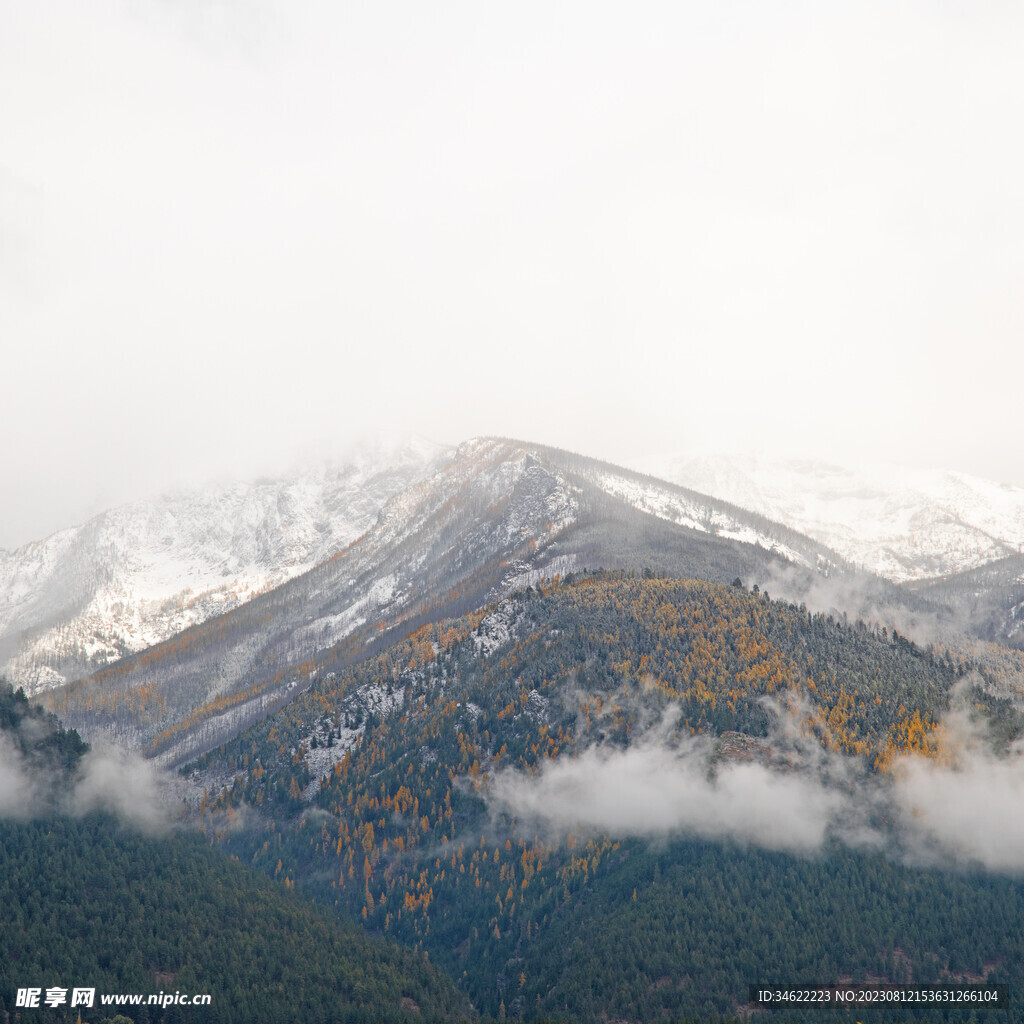 山顶