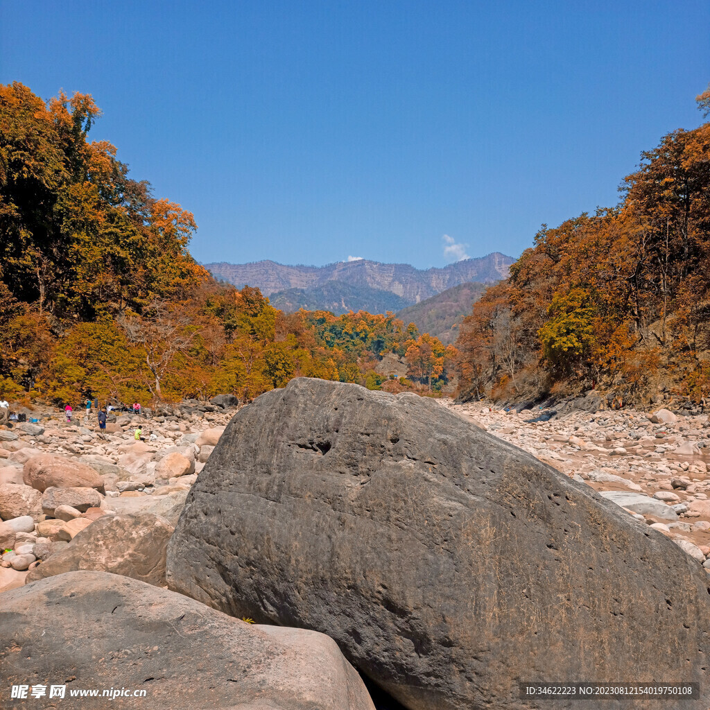 荒山野岭