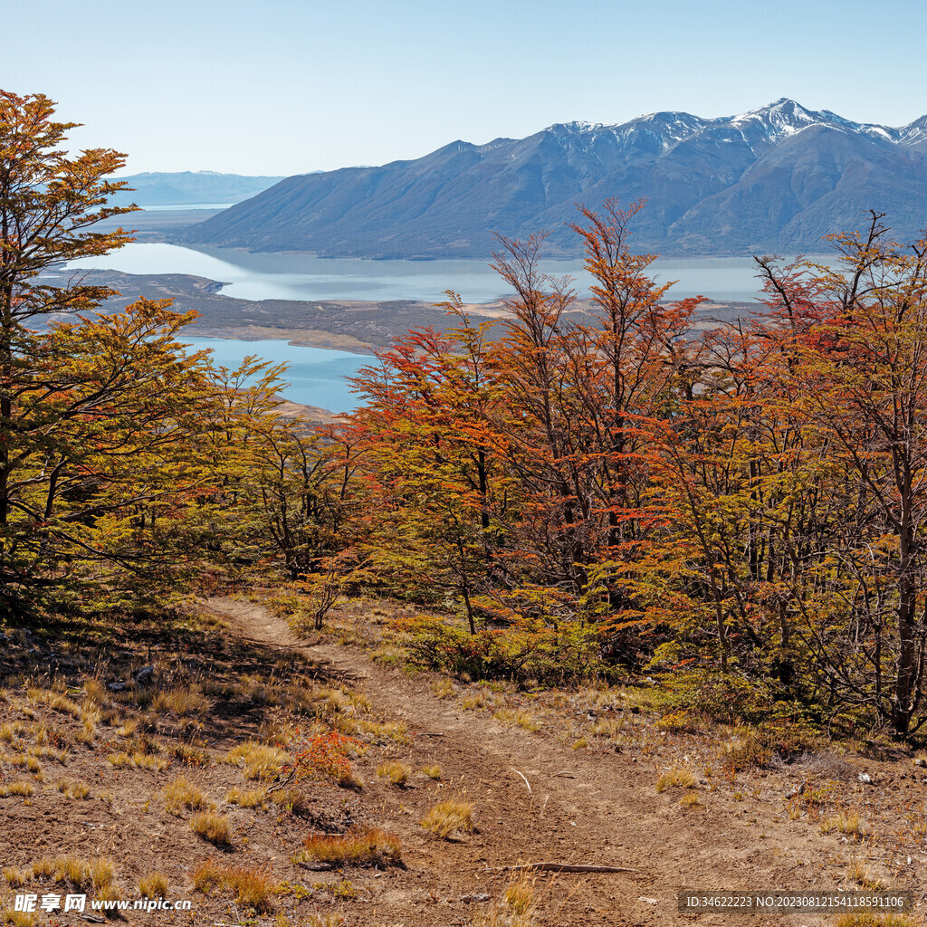 山坡