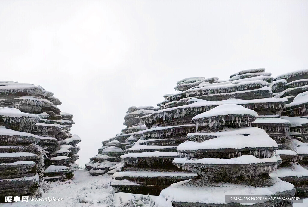 雪景