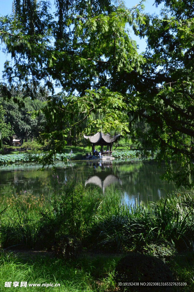 公园风景