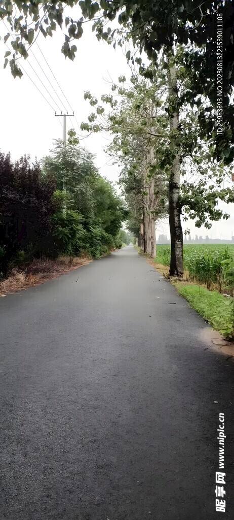 郊区小路