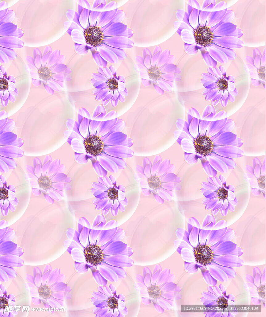 泡泡菊花