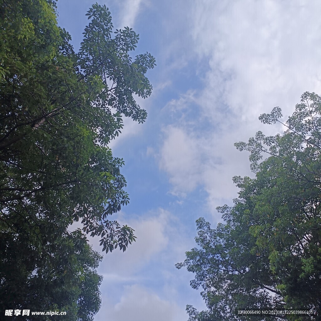 天空 