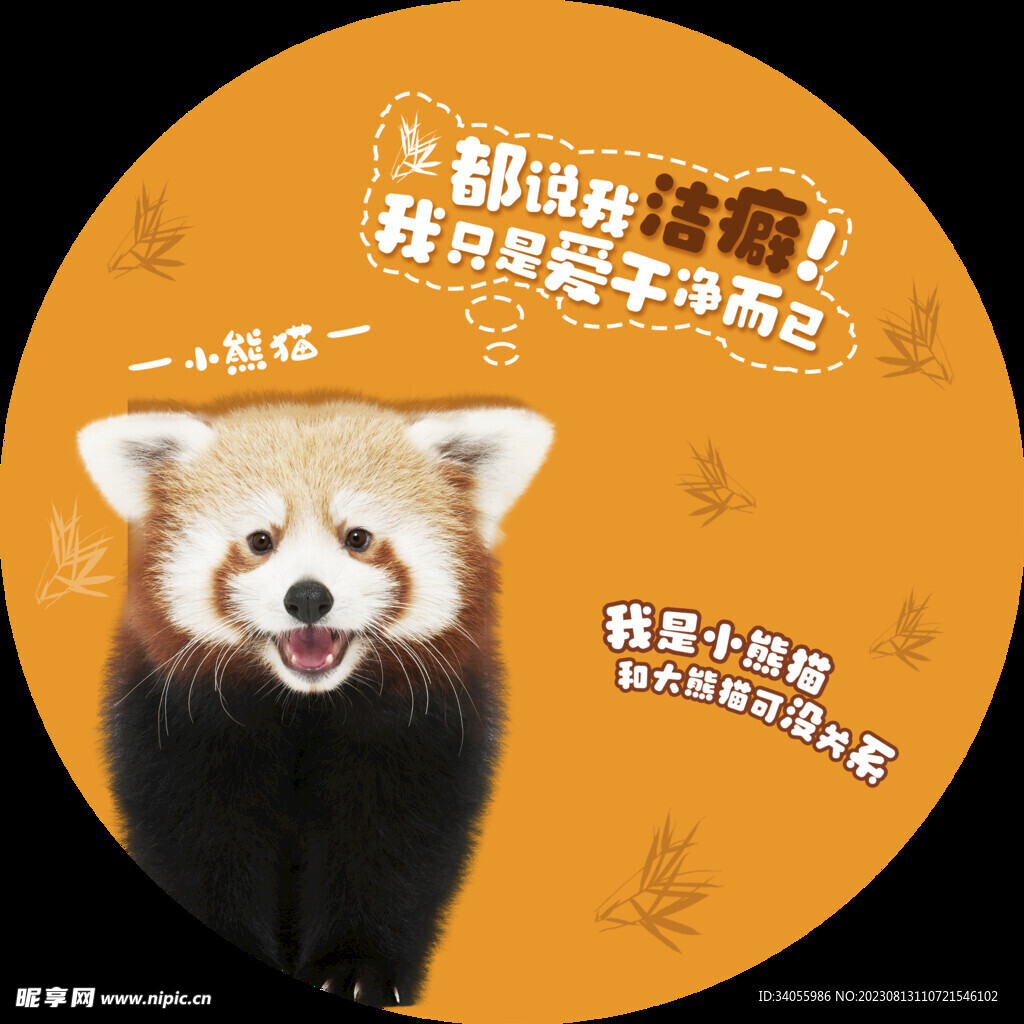 小熊猫
