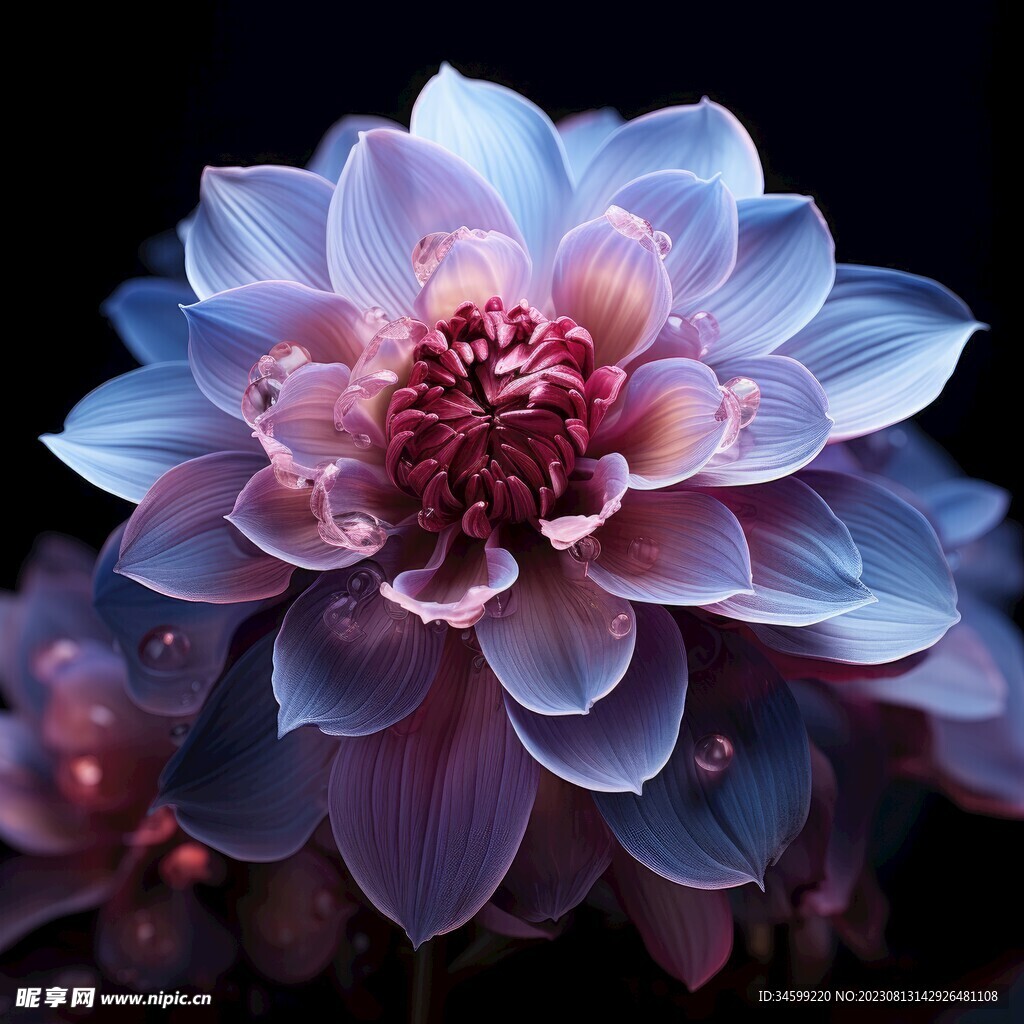 花朵框画