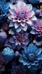 花朵框画