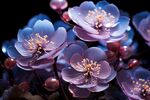 花朵框画