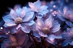 花朵框画