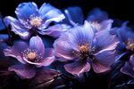 花朵框画