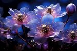 花朵框画