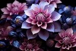 花朵框画