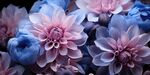 花朵框画 