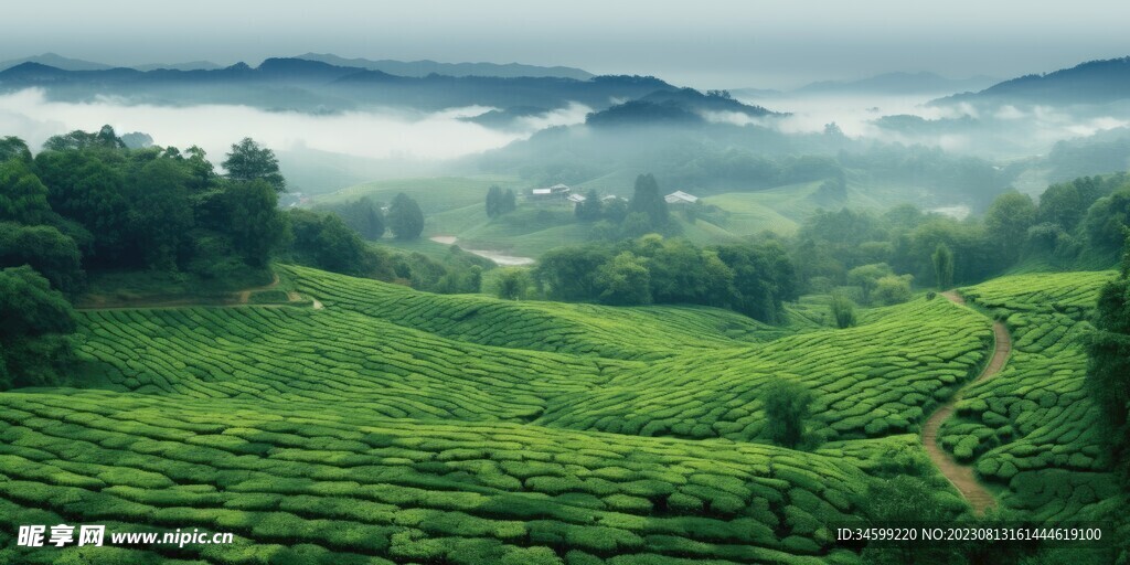 茶田 