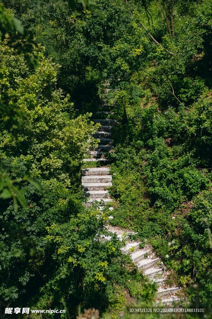 覆盖的台阶