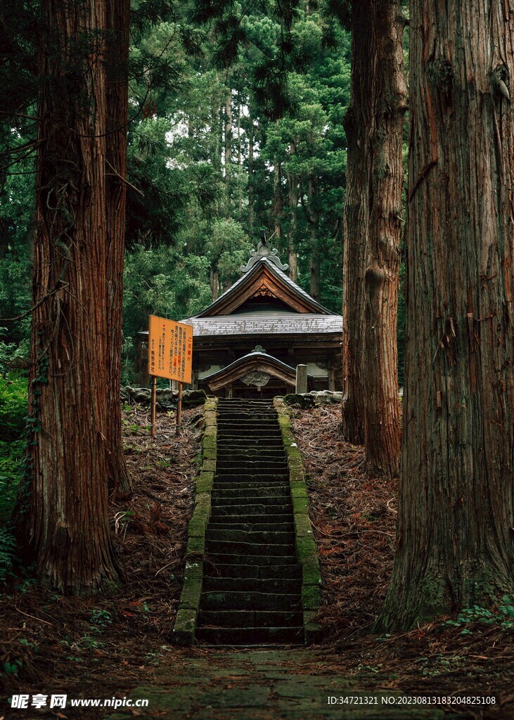 林中的屋舍