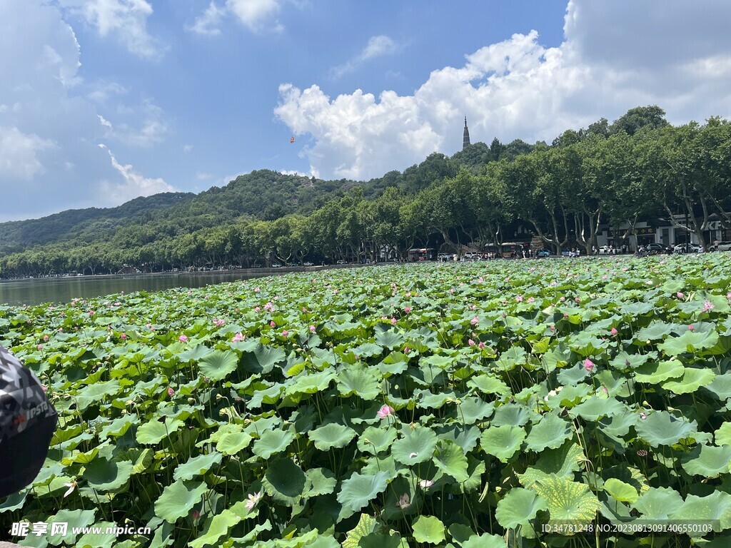 西湖