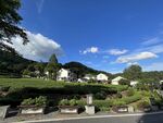 龙井村