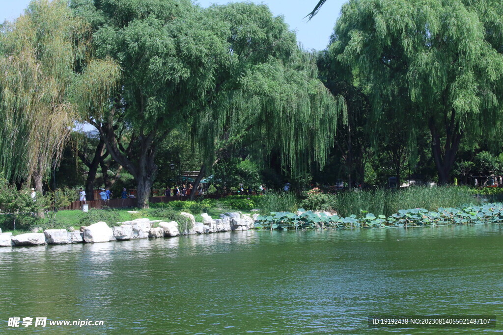 公园风景 
