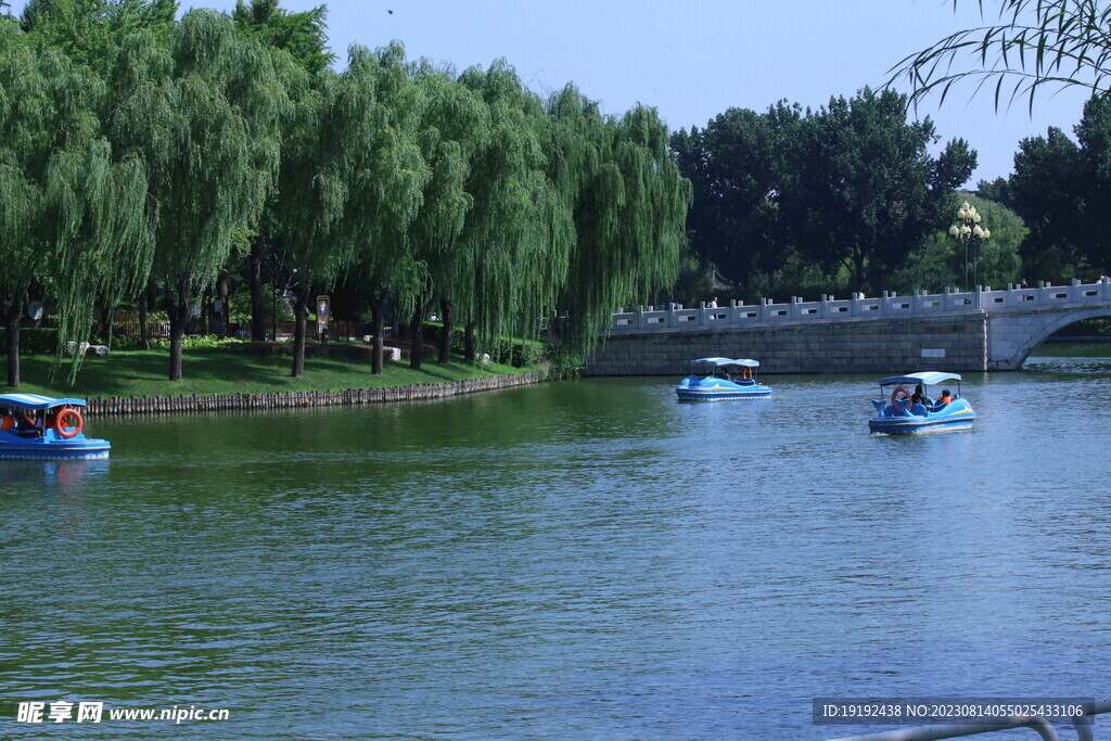 公园风景
