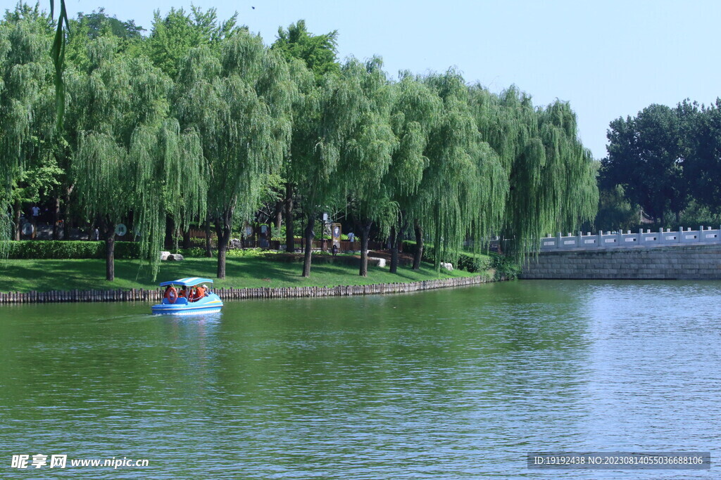 公园风景