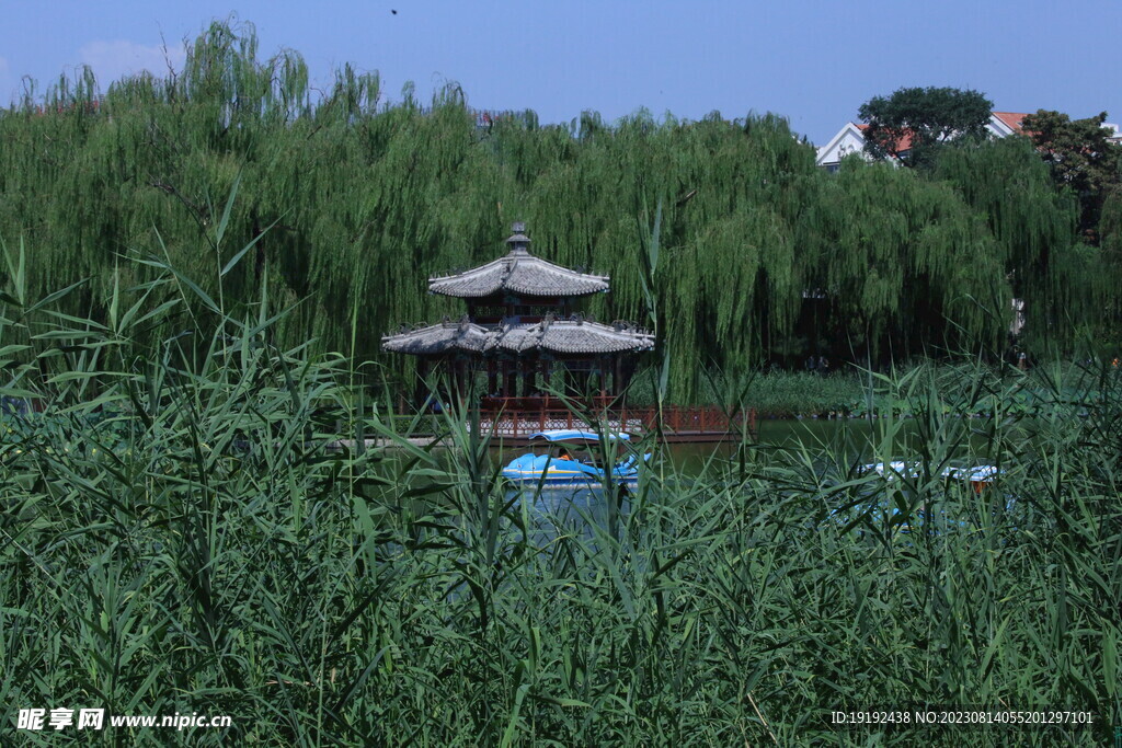 公园风景 