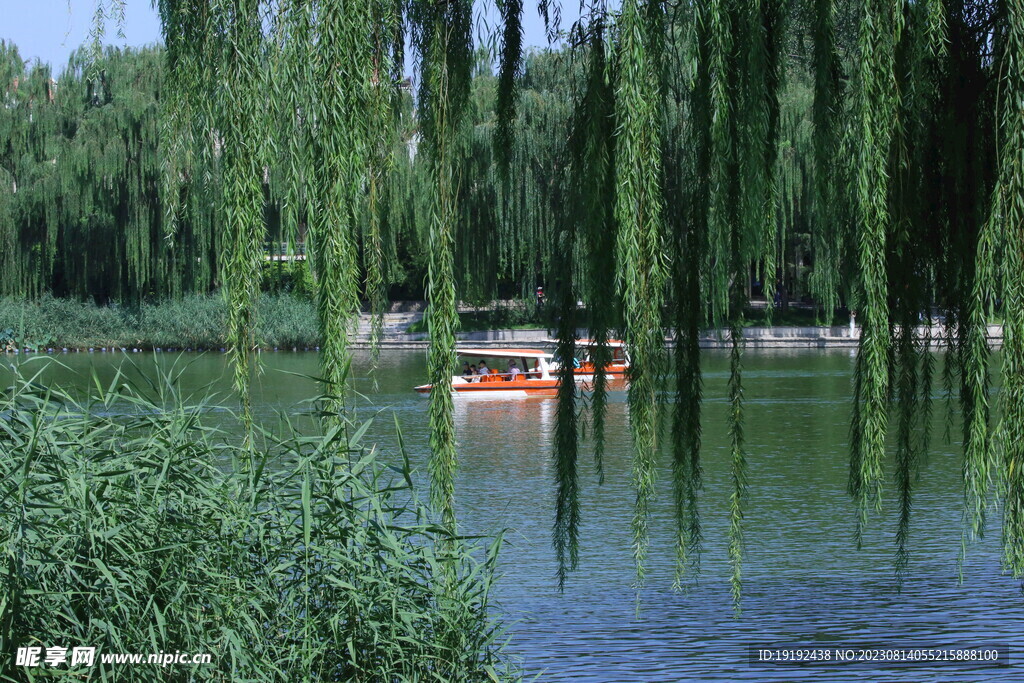 公园风景