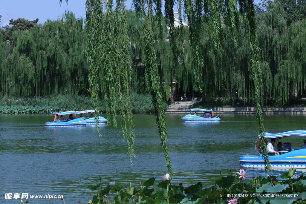 公园风景
