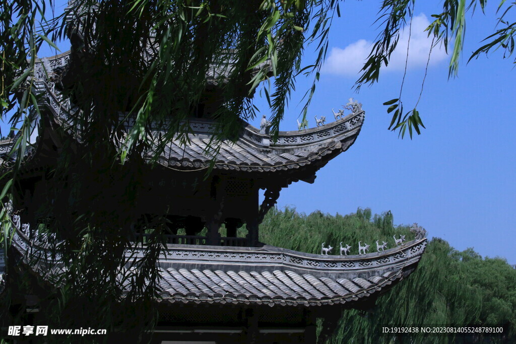 公园风景